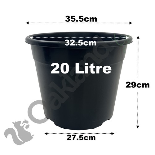 Black plastic plant - plastic, pots