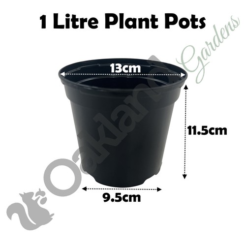 Black plastic plant pots - plastic, 1